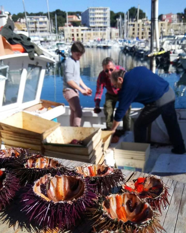 200M De La Plage ,3Mn Du Port A 50M Du Centre Ville Carry-le-Rouet Buitenkant foto